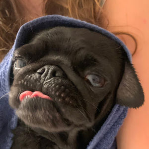 Meet your Posher, Madi